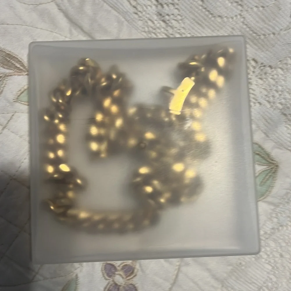 Stylish dog chain